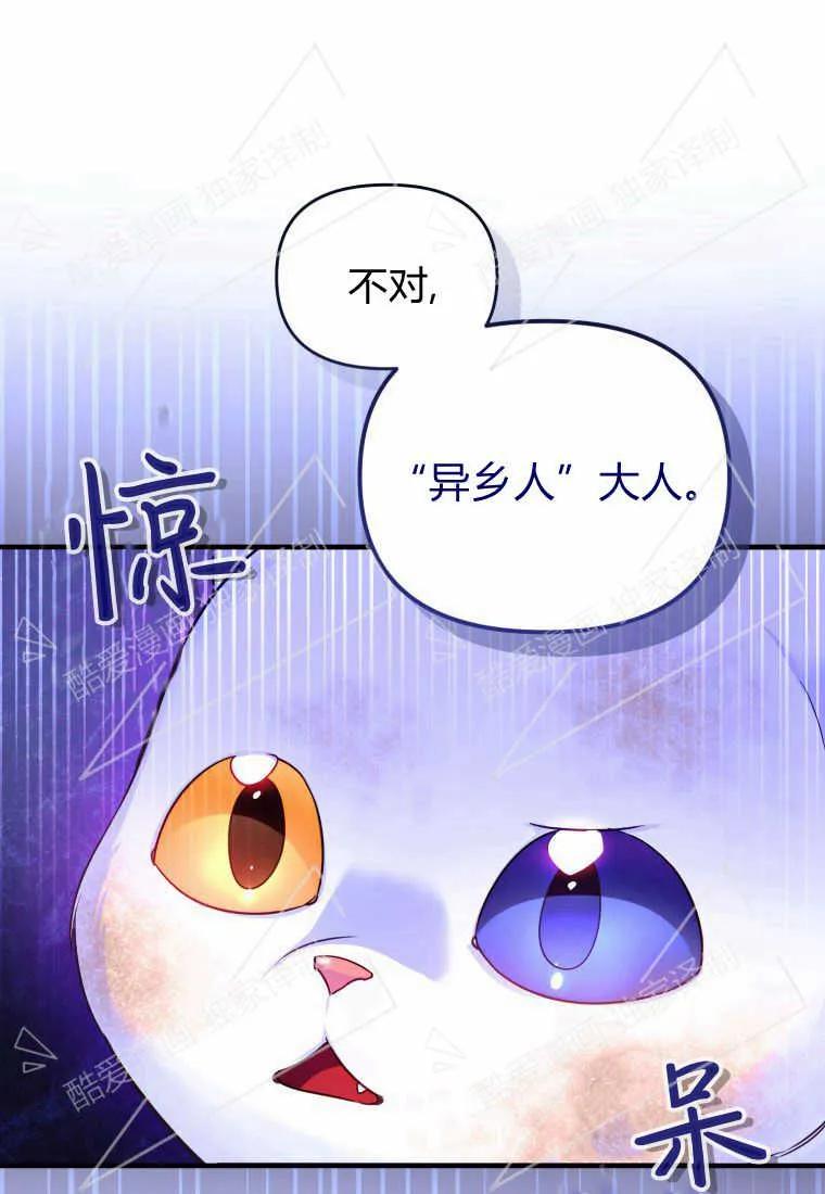 成为苏尔坦珍爱的猫咪 第03话 第15页
