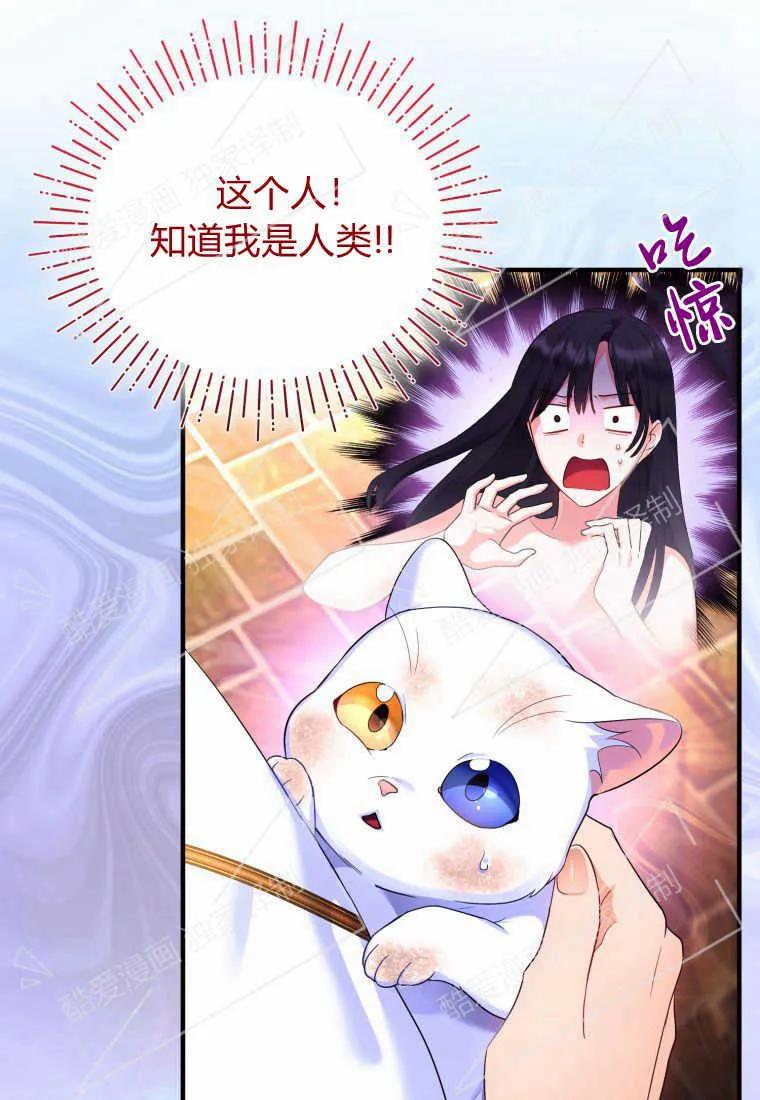 成为苏尔坦珍爱的猫咪 第03话 第18页