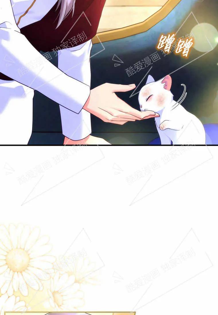 成为苏尔坦珍爱的猫咪 第03话 第62页