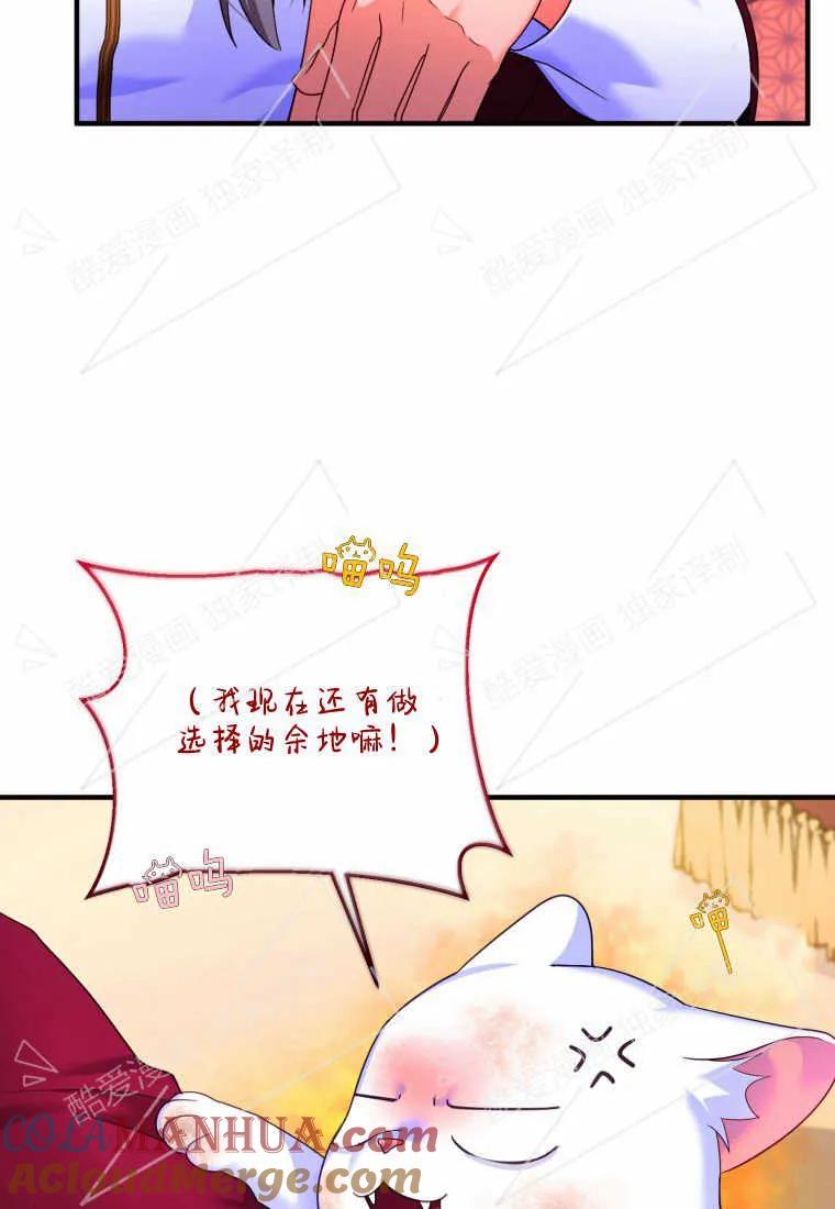 成为苏尔坦珍爱的猫咪 第03话 第93页