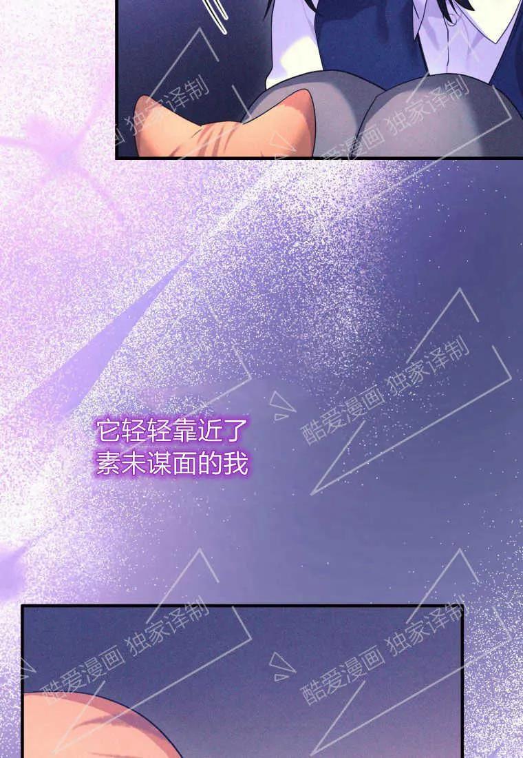 成为苏尔坦珍爱的猫咪 第03话 第59页