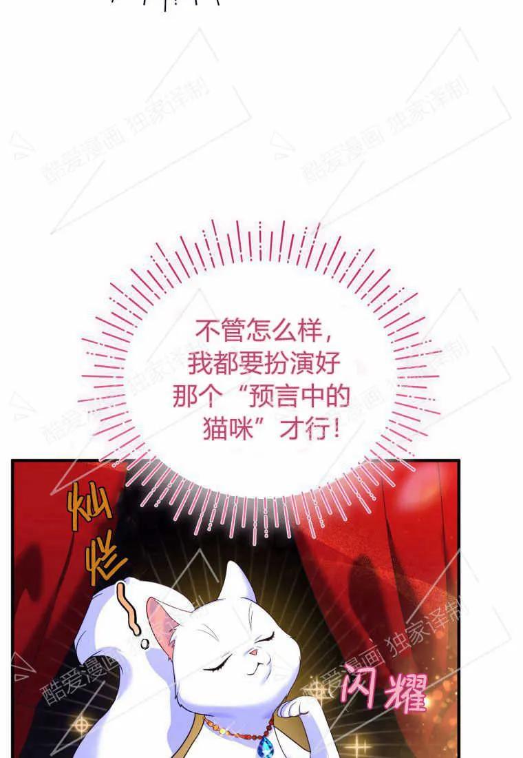 成为苏尔坦珍爱的猫咪 第03话 第82页
