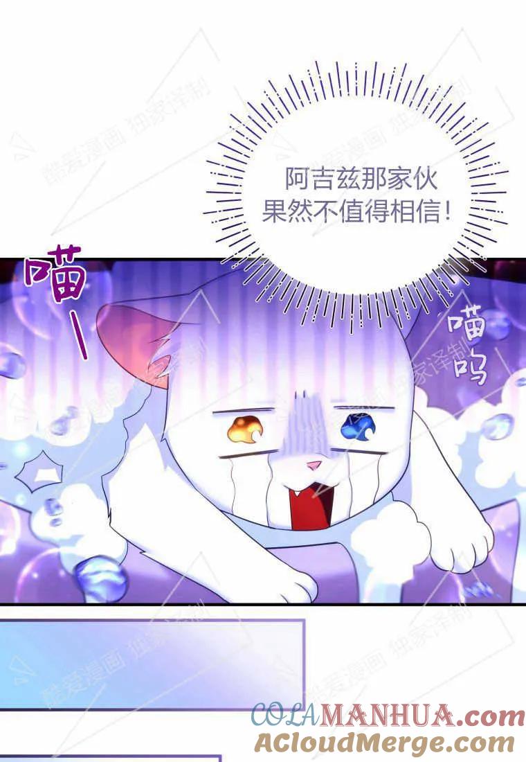 成为苏尔坦珍爱的猫咪 第03话 第101页