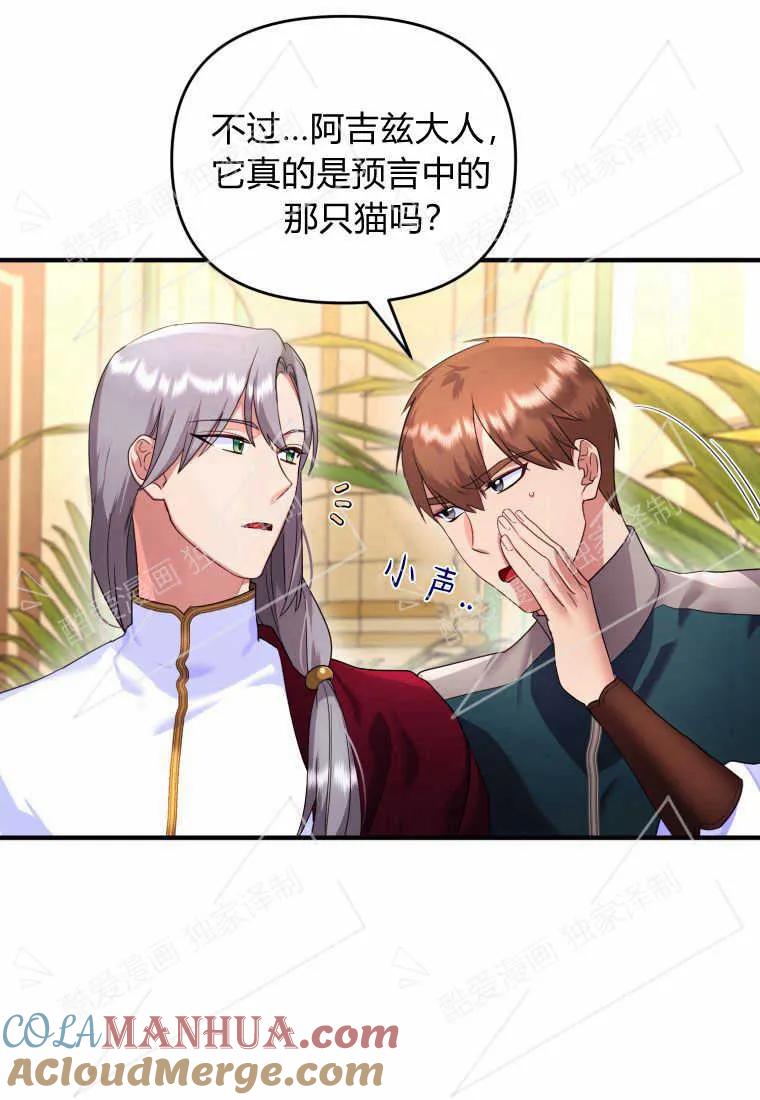 成为苏尔坦珍爱的猫咪 第03话 第5页