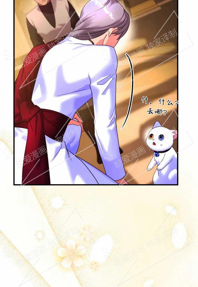 成为苏尔坦珍爱的猫咪 第03话 第118页