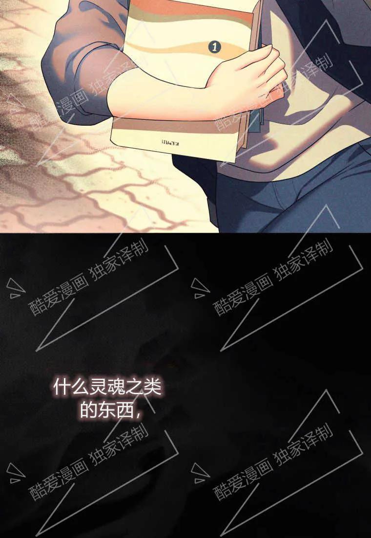 成为苏尔坦珍爱的猫咪 第03话 第47页
