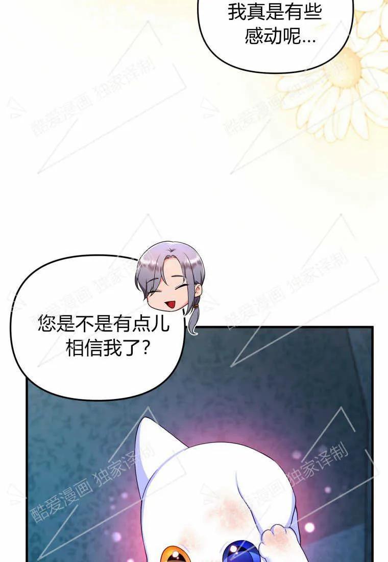 成为苏尔坦珍爱的猫咪 第03话 第64页