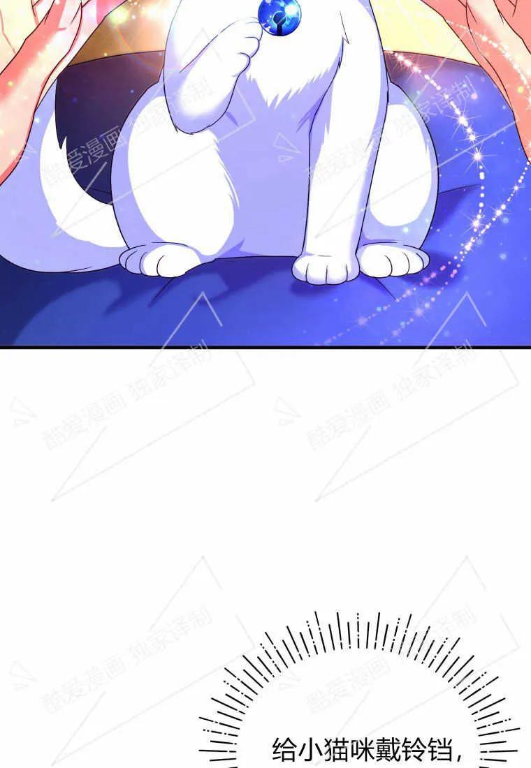 成为苏尔坦珍爱的猫咪 第03话 第110页