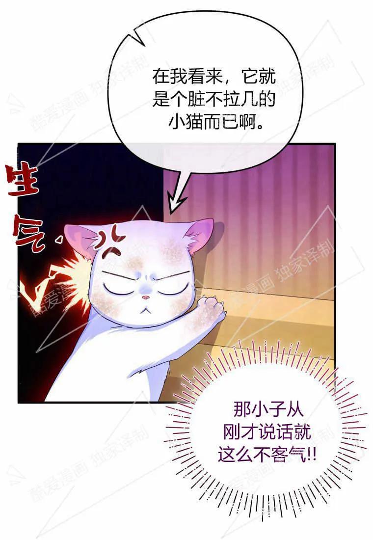 成为苏尔坦珍爱的猫咪 第03话 第6页