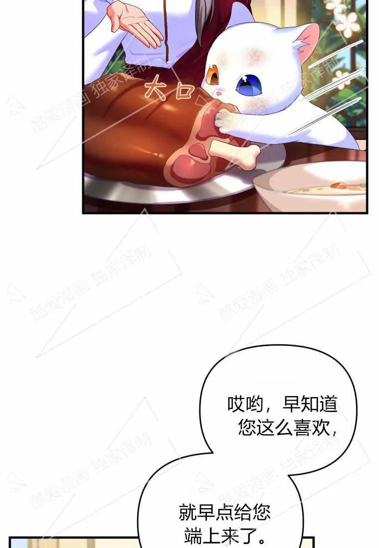 成为苏尔坦珍爱的猫咪 第03话 第76页