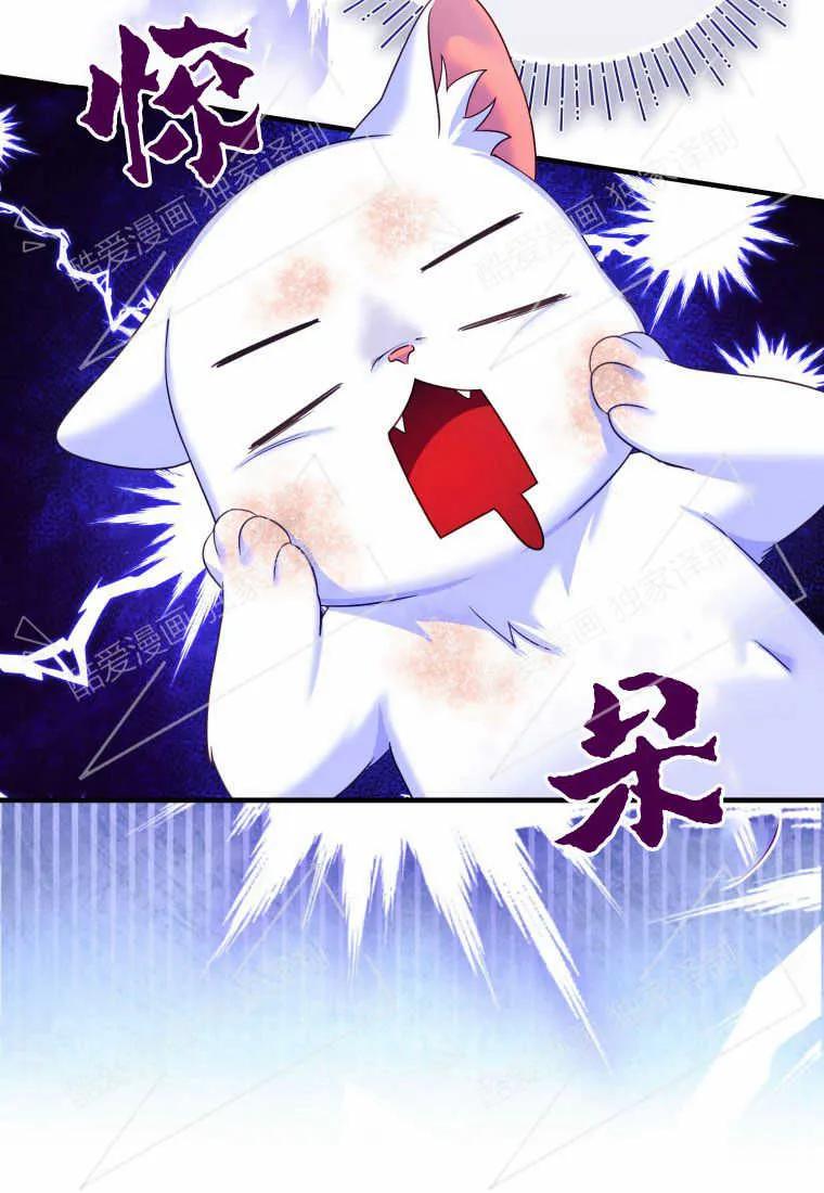成为苏尔坦珍爱的猫咪 第03话 第88页