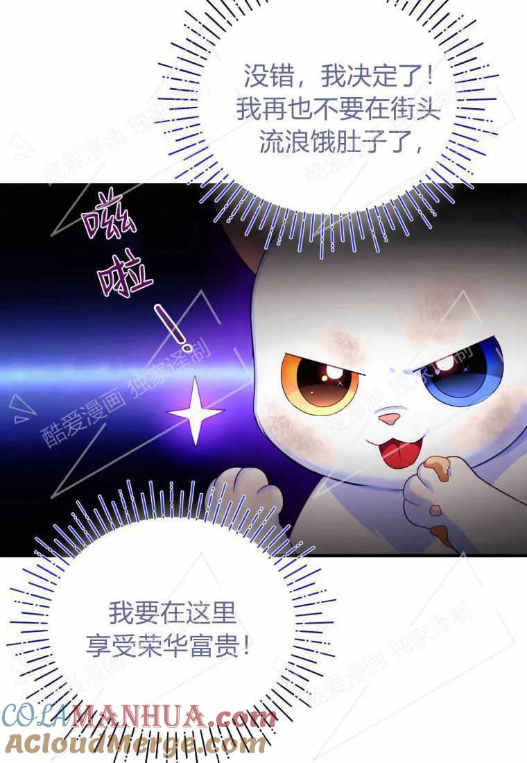 成为苏尔坦珍爱的猫咪 第03话 第81页