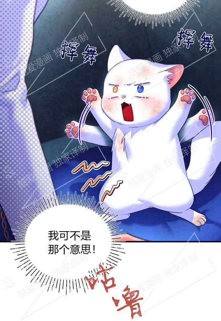 成为苏尔坦珍爱的猫咪 第03话 第66页