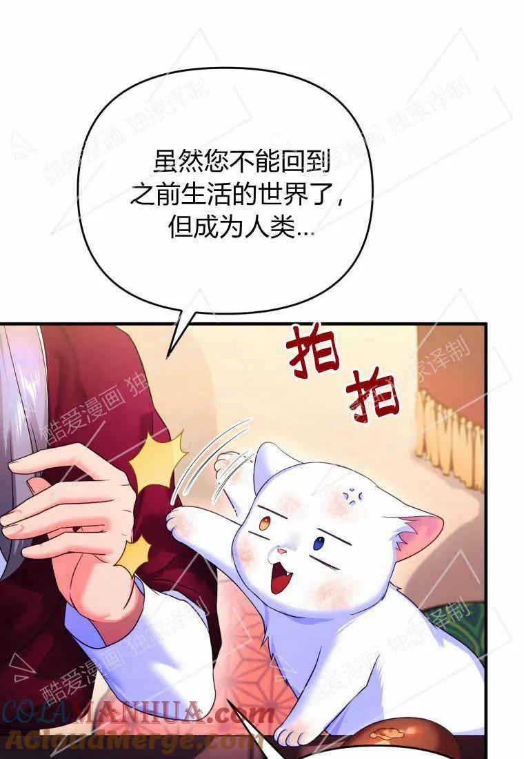 成为苏尔坦珍爱的猫咪 第03话 第89页