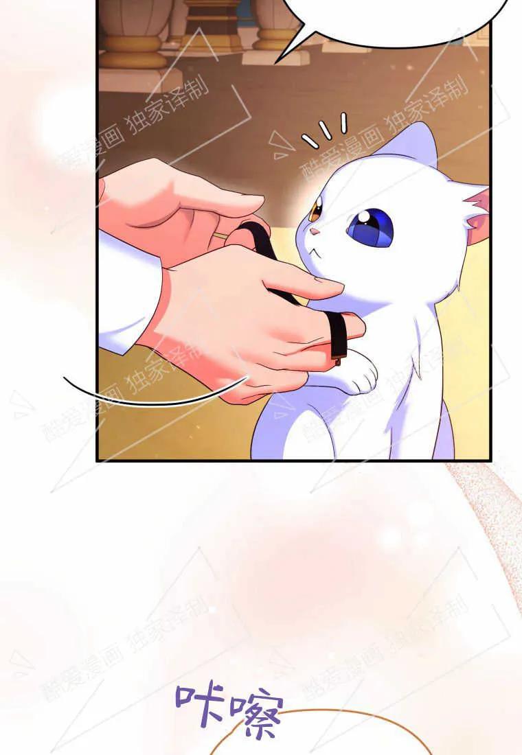 成为苏尔坦珍爱的猫咪 第03话 第108页
