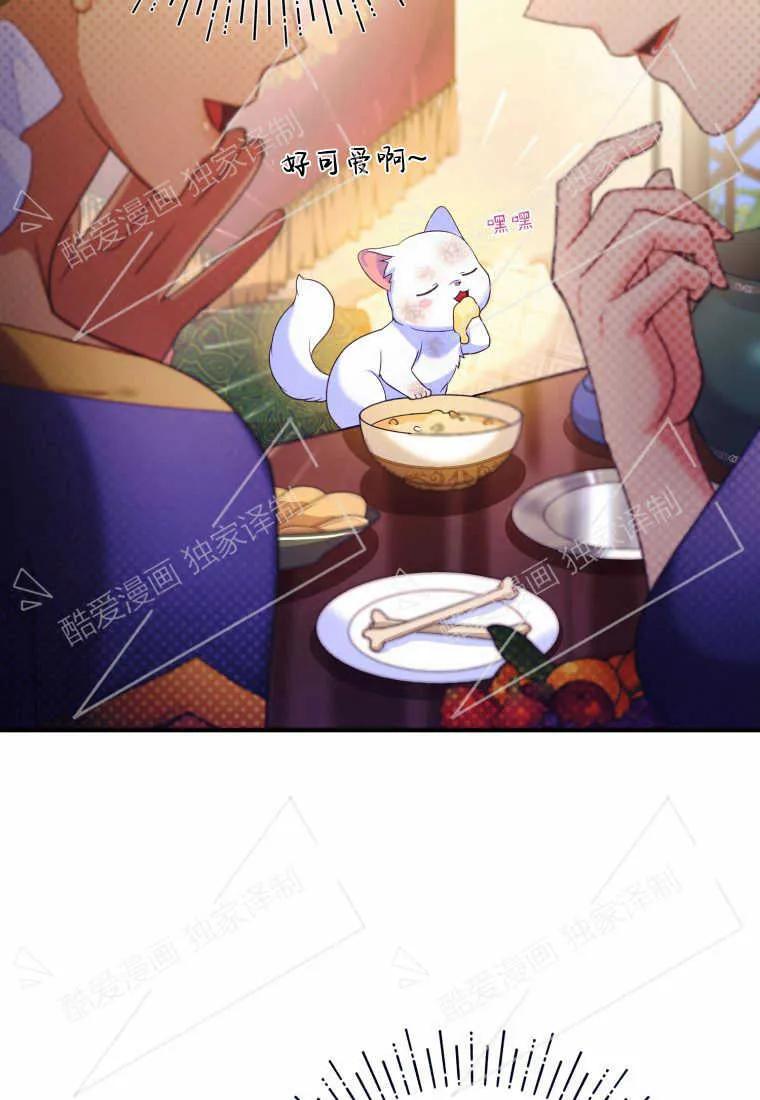 成为苏尔坦珍爱的猫咪 第03话 第80页