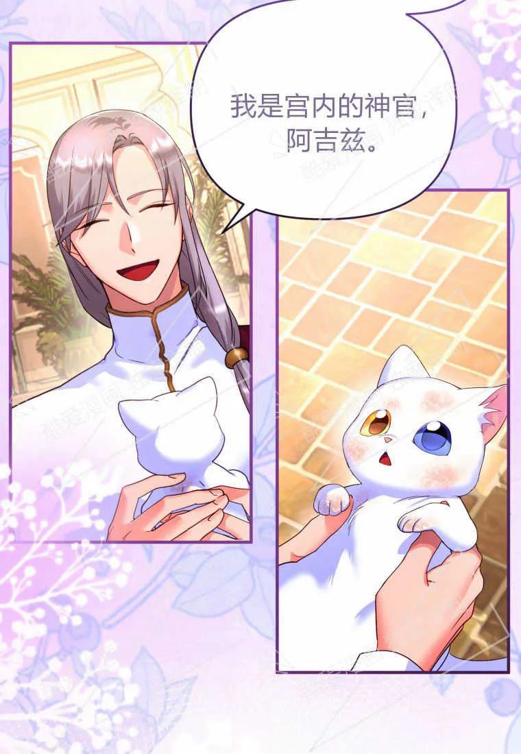 成为苏尔坦珍爱的猫咪 第03话 第12页