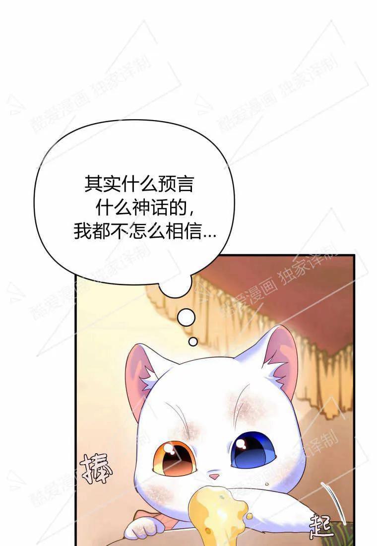 成为苏尔坦珍爱的猫咪 第03话 第78页