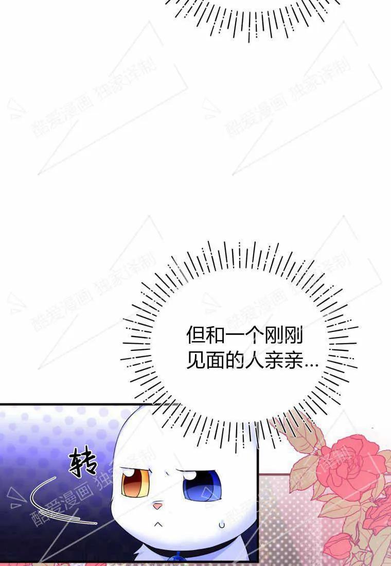 成为苏尔坦珍爱的猫咪 第04话 第46页