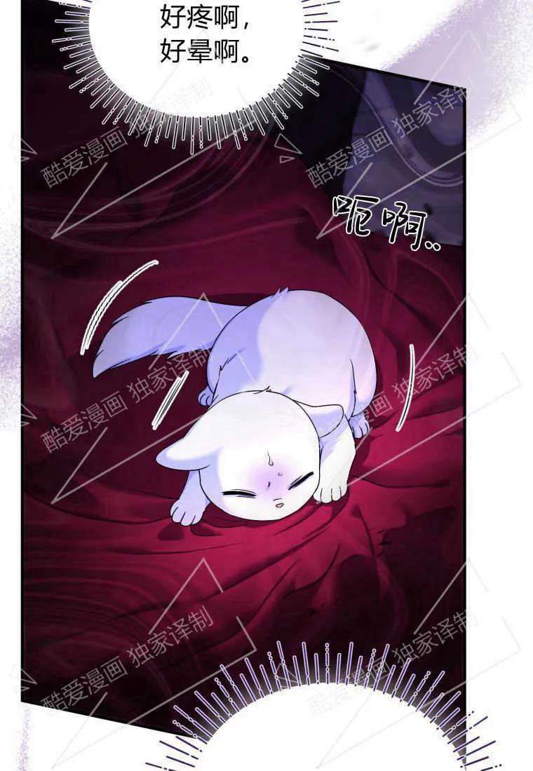 成为苏尔坦珍爱的猫咪 第04话 第76页