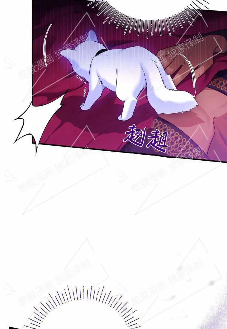 成为苏尔坦珍爱的猫咪 第04话 第75页