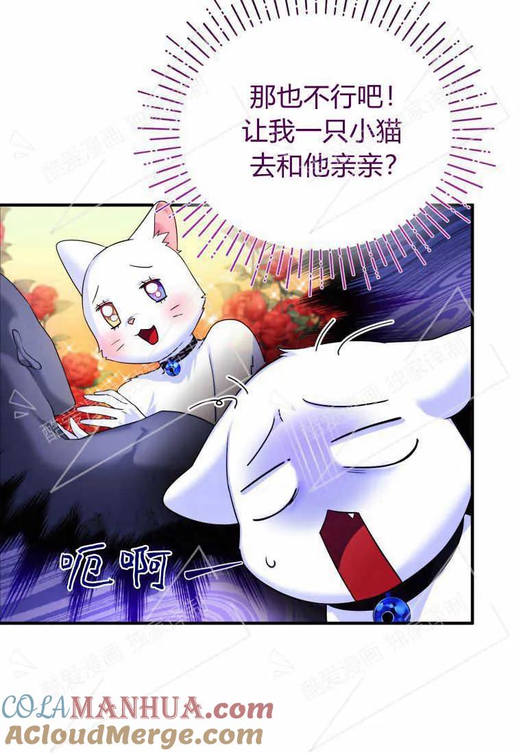 成为苏尔坦珍爱的猫咪 第04话 第33页