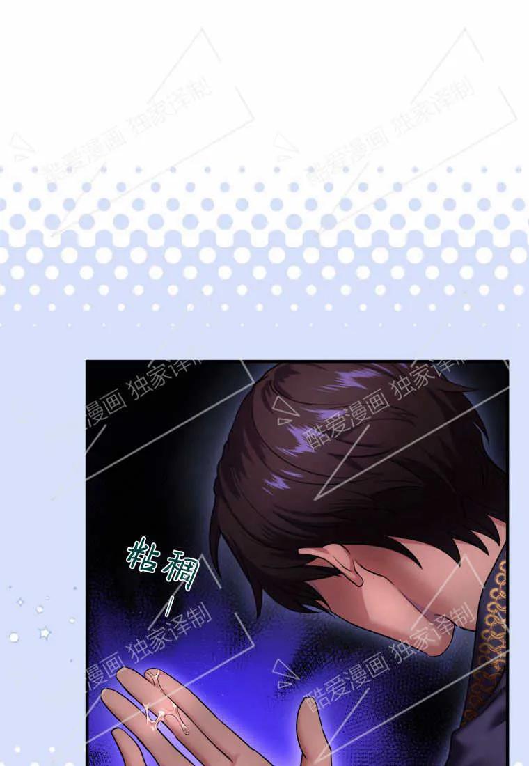 成为苏尔坦珍爱的猫咪 第04话 第88页