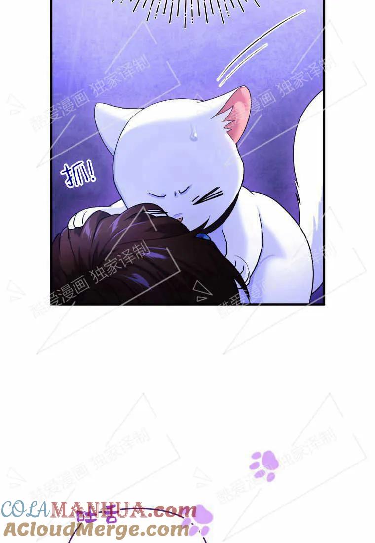 成为苏尔坦珍爱的猫咪 第04话 第61页