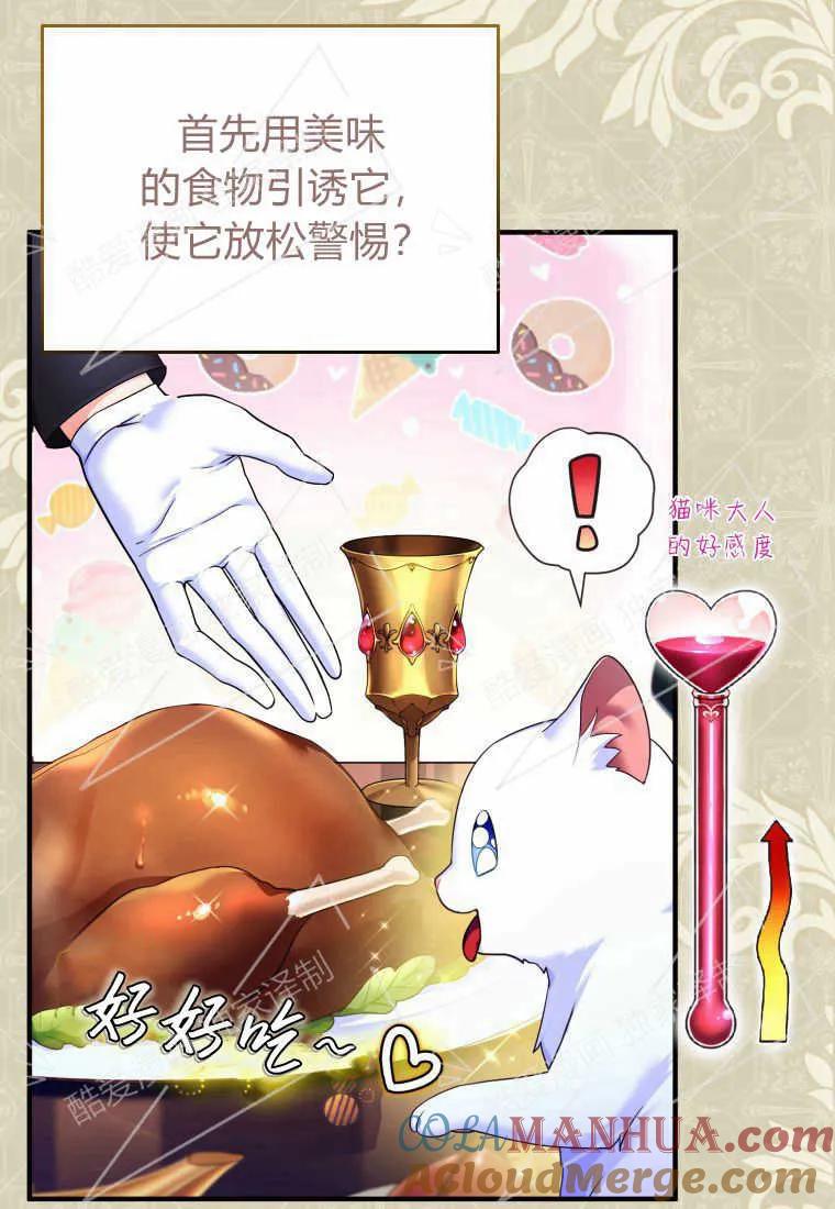 成为苏尔坦珍爱的猫咪 第04话 第5页