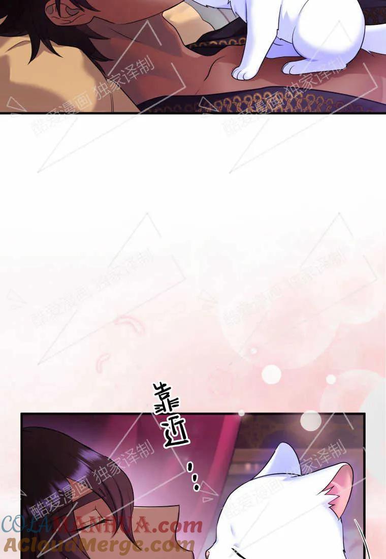 成为苏尔坦珍爱的猫咪 第04话 第57页