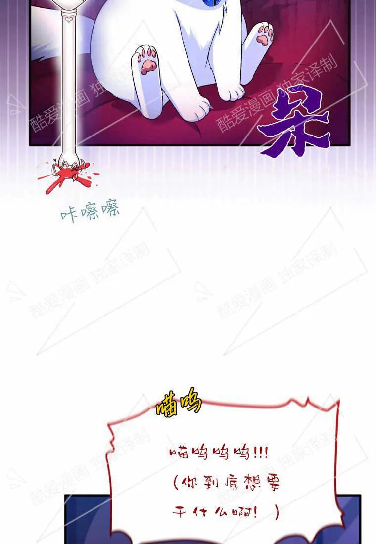 成为苏尔坦珍爱的猫咪 第04话 第14页