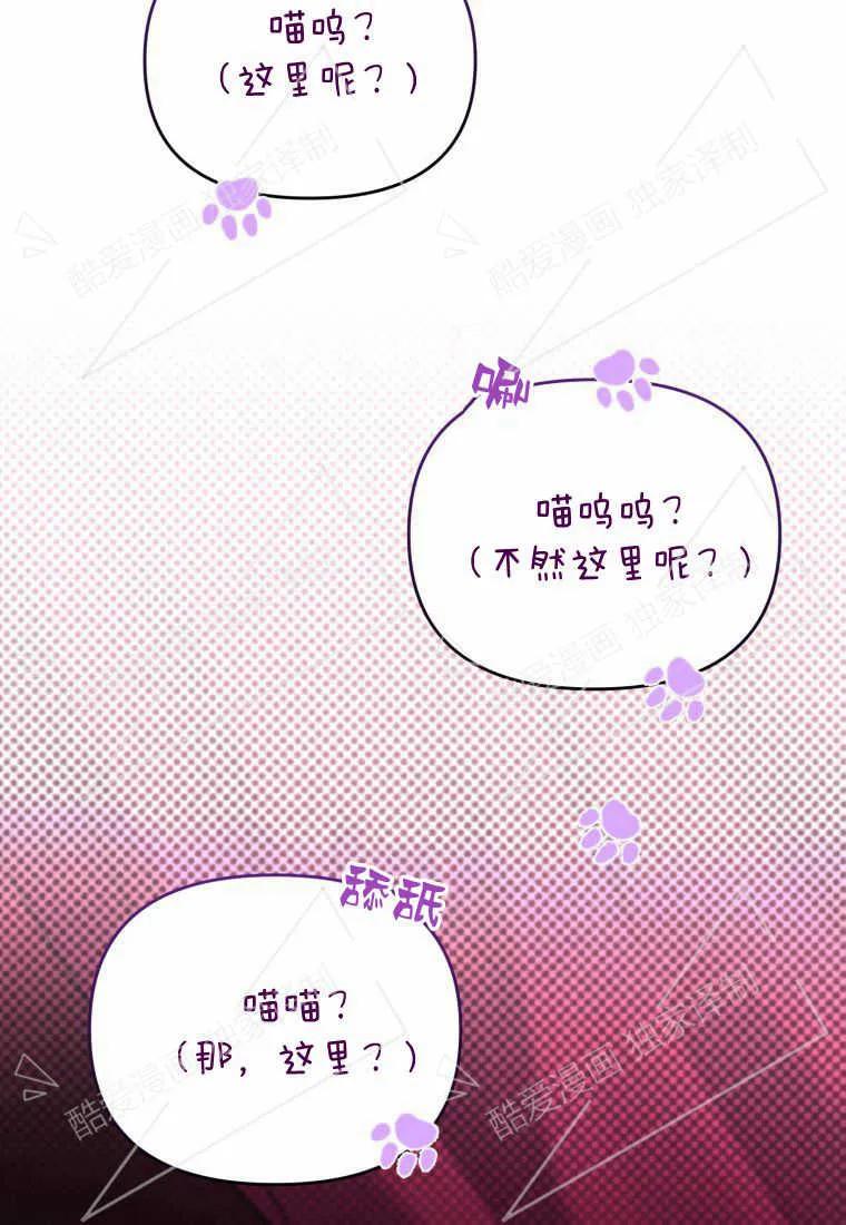 成为苏尔坦珍爱的猫咪 第04话 第62页