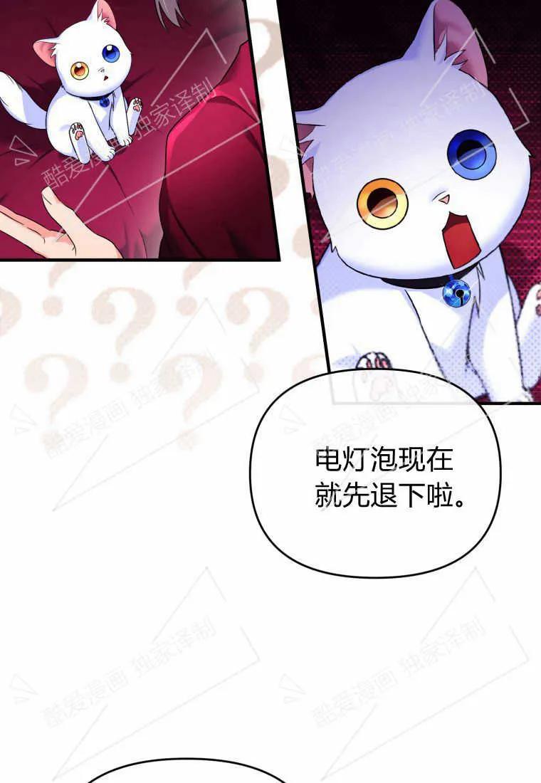 成为苏尔坦珍爱的猫咪 第04话 第40页