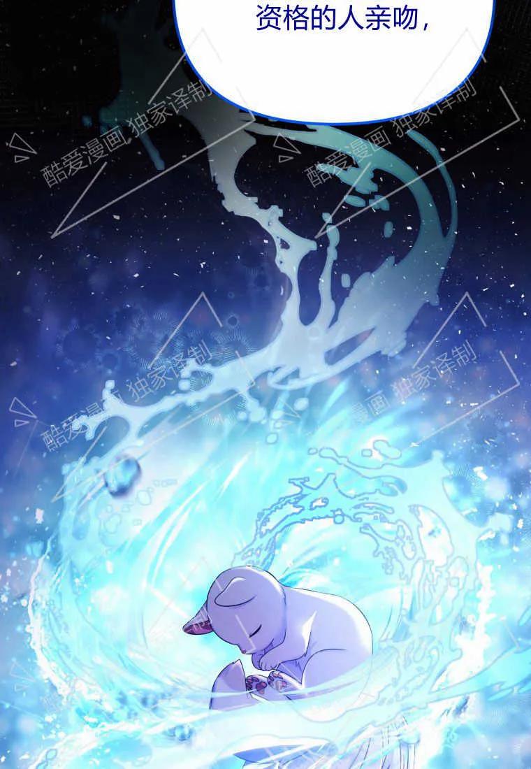 成为苏尔坦珍爱的猫咪 第04话 第35页