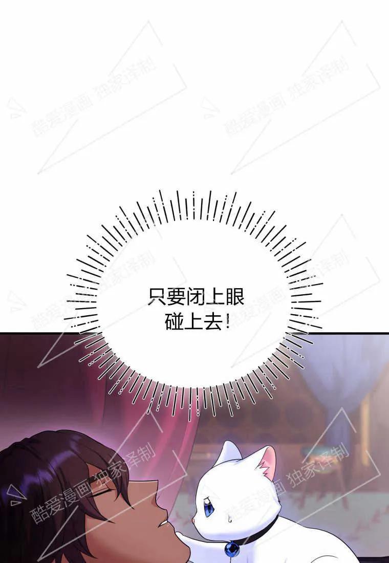 成为苏尔坦珍爱的猫咪 第04话 第56页