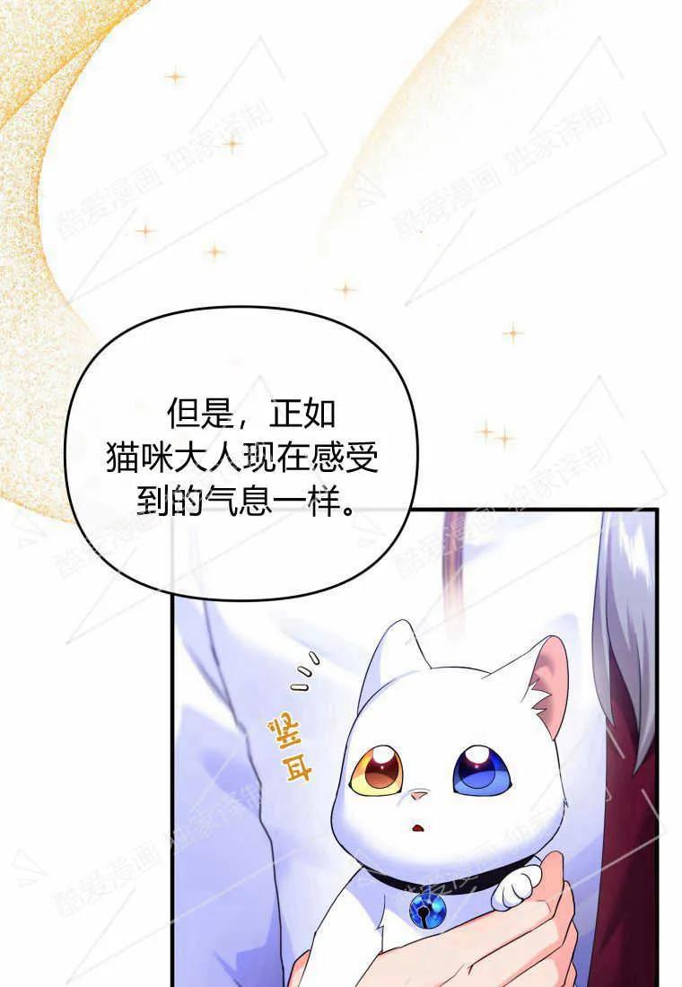 成为苏尔坦珍爱的猫咪 第04话 第26页