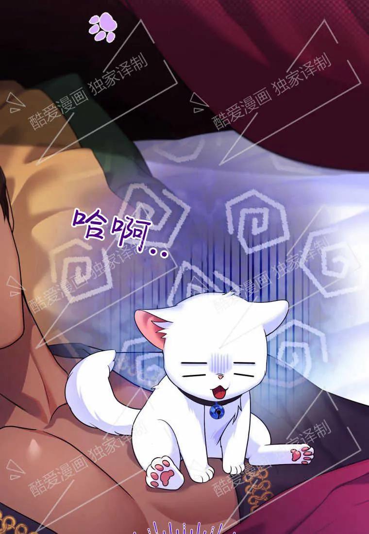 成为苏尔坦珍爱的猫咪 第04话 第63页