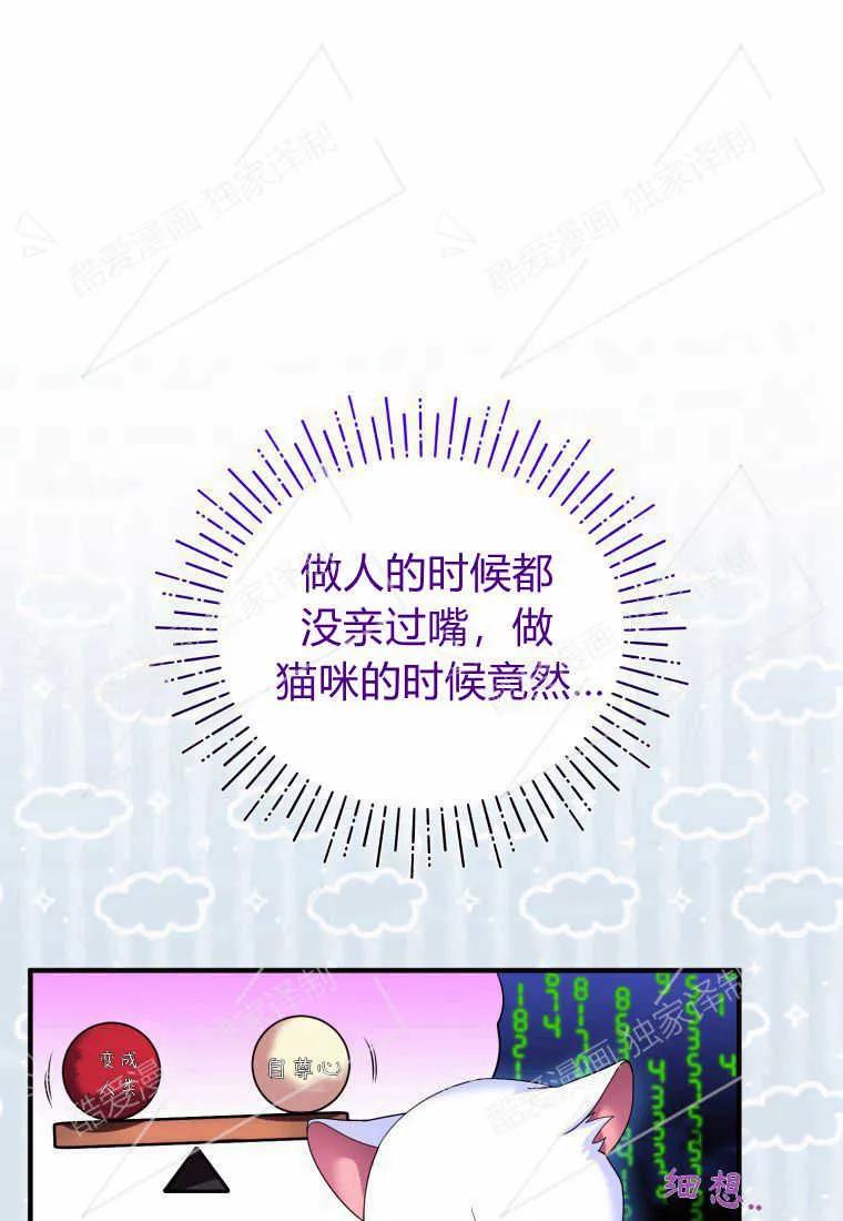 成为苏尔坦珍爱的猫咪 第04话 第52页