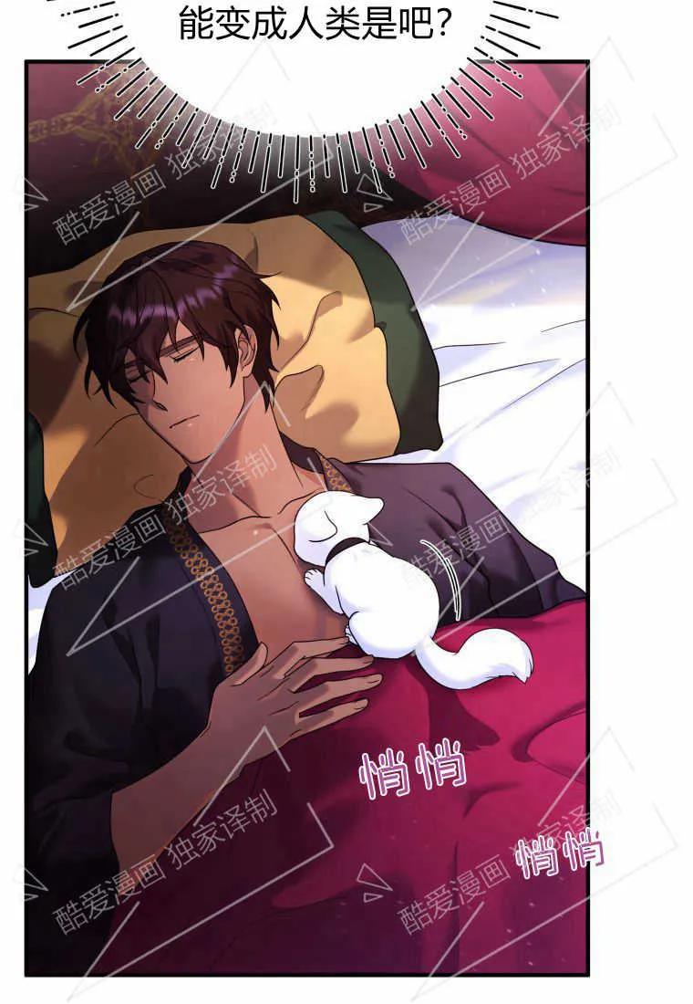 成为苏尔坦珍爱的猫咪 第04话 第51页