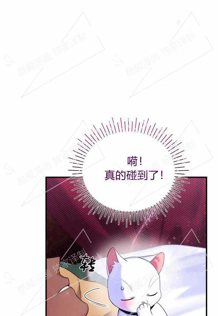 成为苏尔坦珍爱的猫咪 第04话 第70页