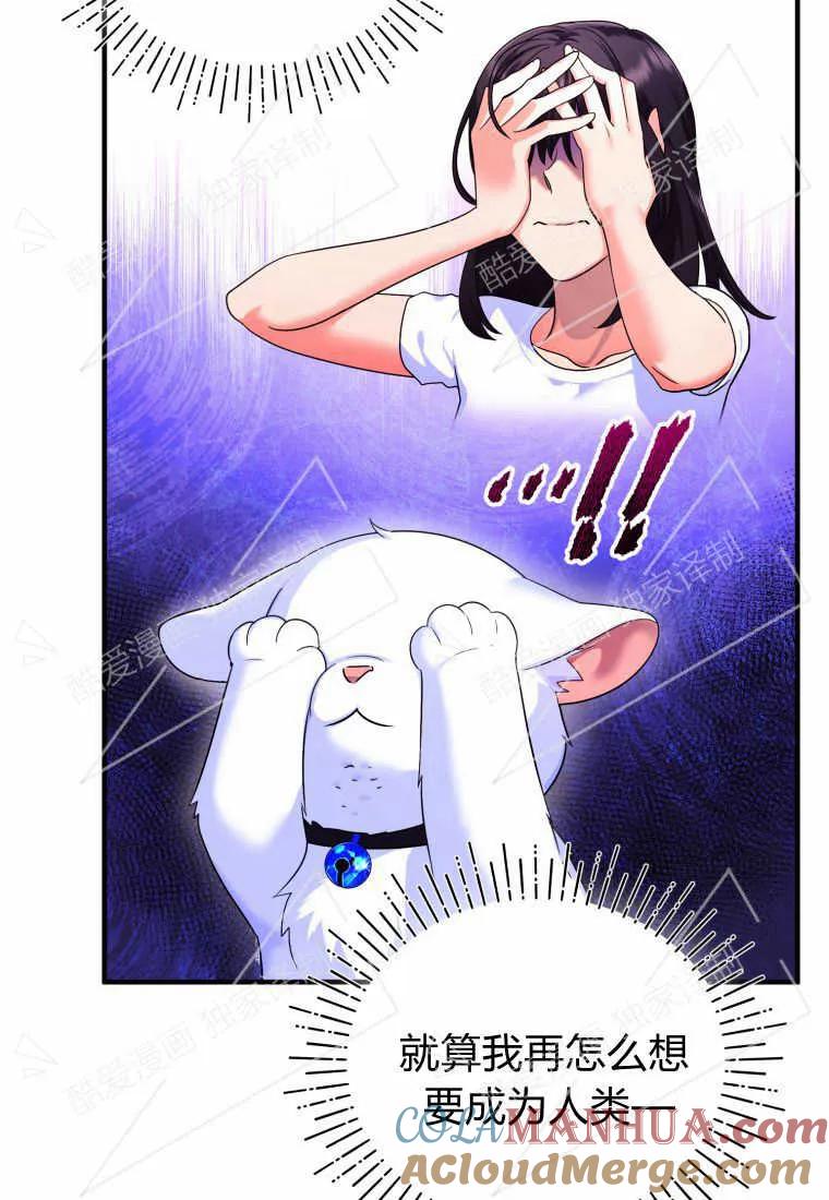 成为苏尔坦珍爱的猫咪 第04话 第45页