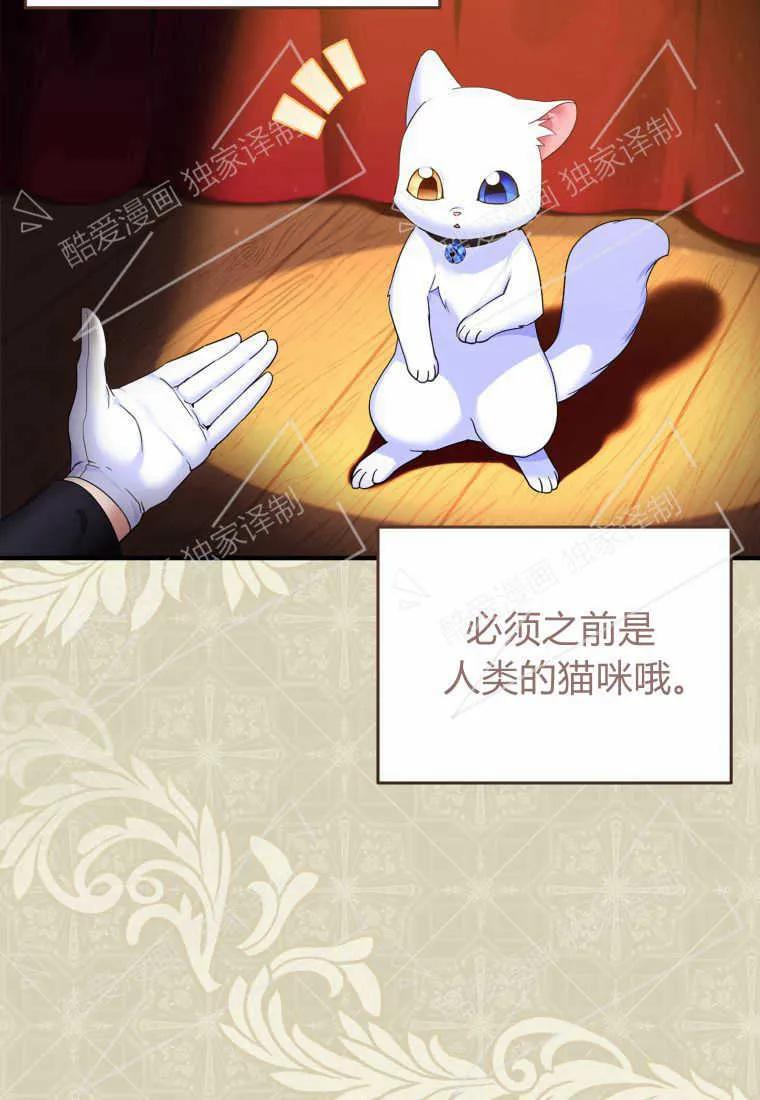 成为苏尔坦珍爱的猫咪 第04话 第4页
