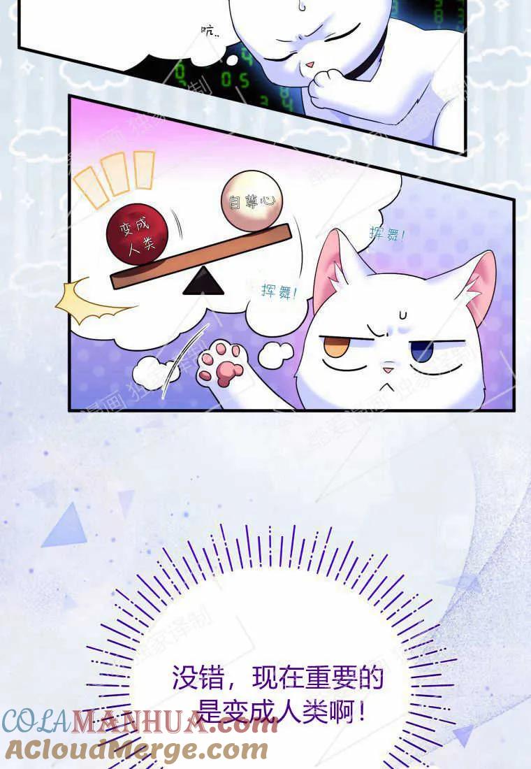 成为苏尔坦珍爱的猫咪 第04话 第53页