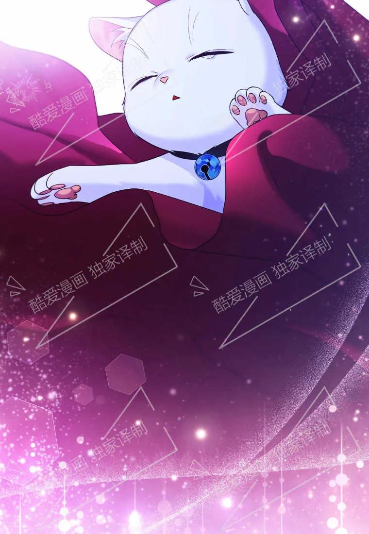 成为苏尔坦珍爱的猫咪 第04话 第80页