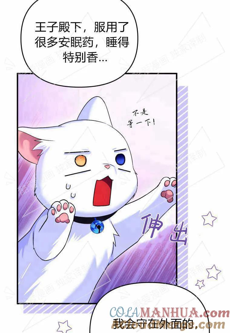 成为苏尔坦珍爱的猫咪 第04话 第41页