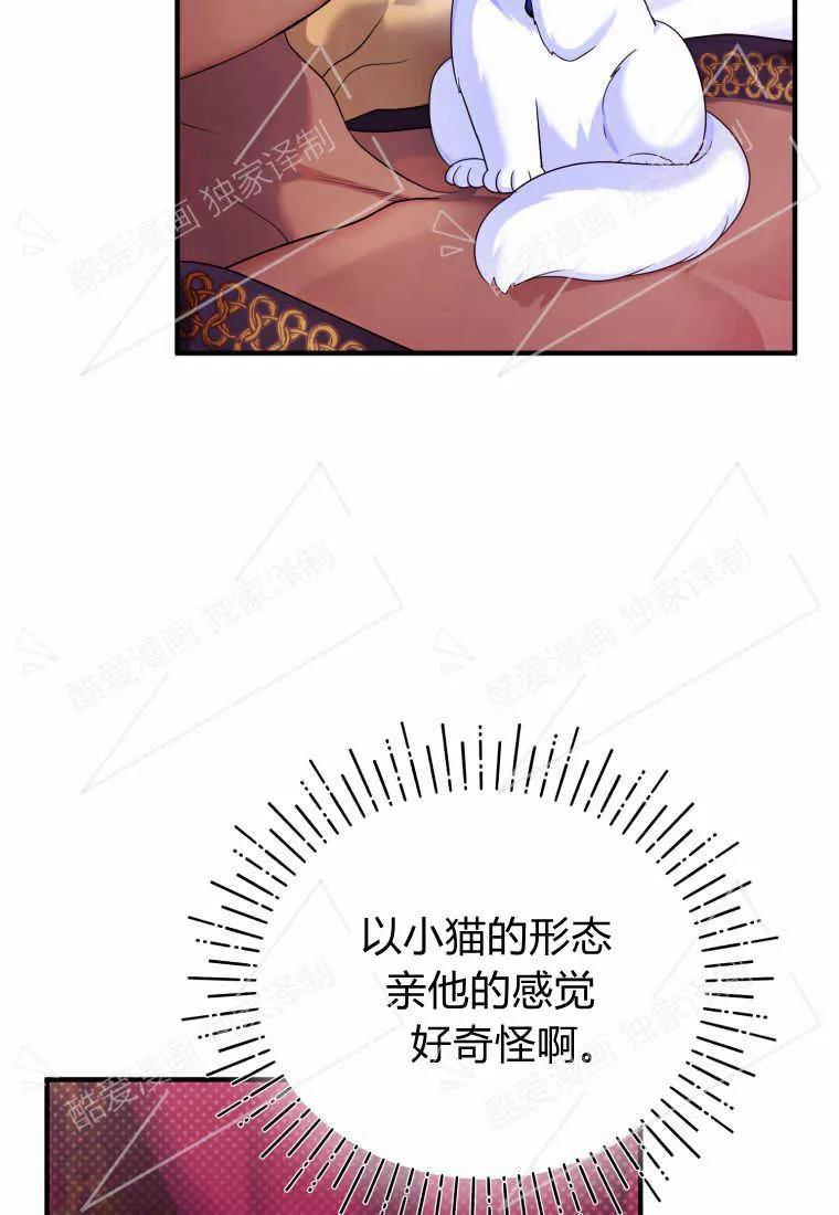 成为苏尔坦珍爱的猫咪 第04话 第71页