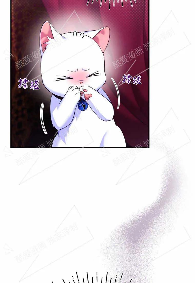 成为苏尔坦珍爱的猫咪 第04话 第72页