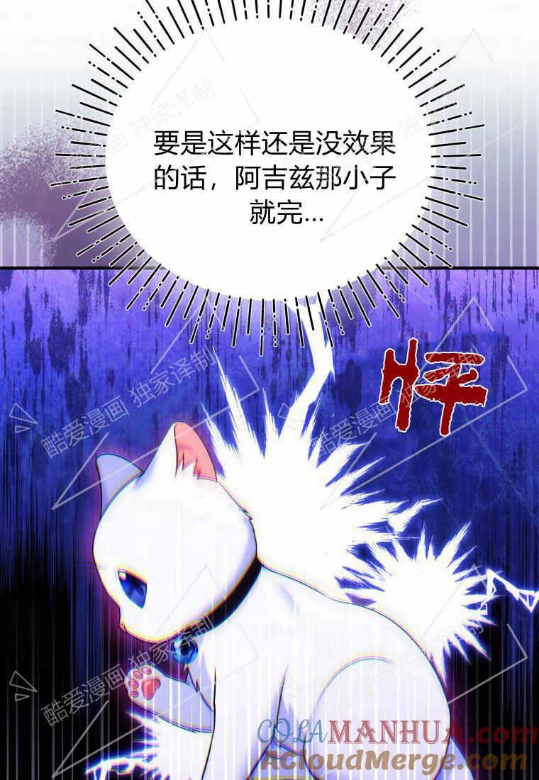 成为苏尔坦珍爱的猫咪 第04话 第73页