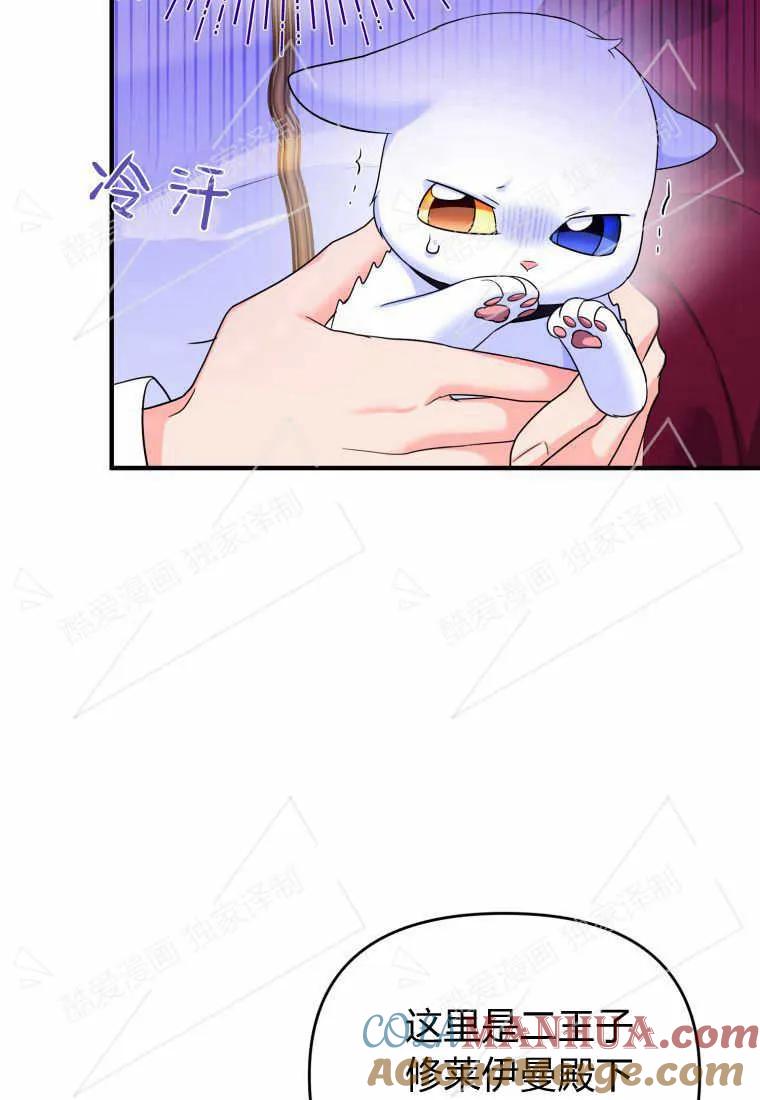 成为苏尔坦珍爱的猫咪 第04话 第21页