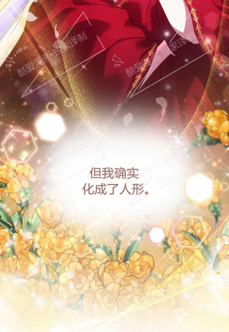 成为苏尔坦珍爱的猫咪 第05话 第55页